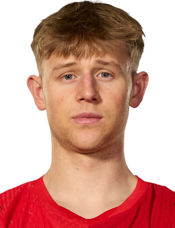 	Luc de Fougerolles 	